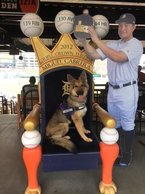 Dog in baseball-themed chair